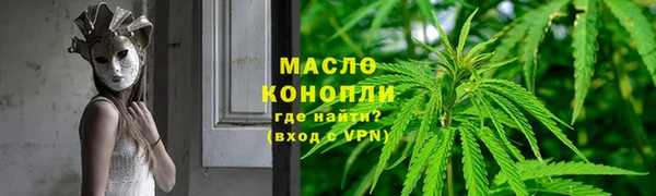 дживик Богородицк