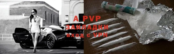 ГАЛЛЮЦИНОГЕННЫЕ ГРИБЫ Белоозёрский