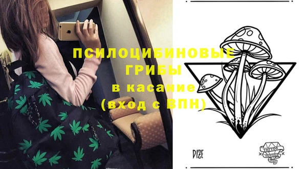 ГАЛЛЮЦИНОГЕННЫЕ ГРИБЫ Белоозёрский